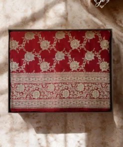 Red Pure Silk Jaal Handloom Banarasi Saree