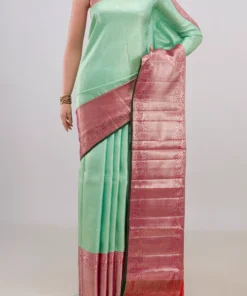 Pure Silk Mint Green Kanchipuram Saree
