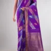 Multi Color Kanchipuram Silk Saree